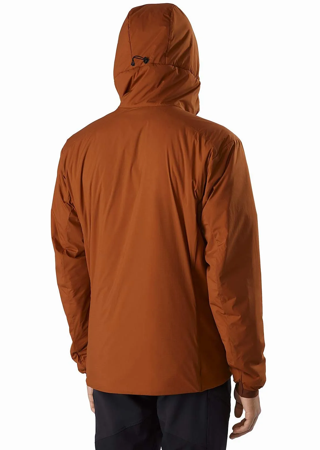 Arc'teryx Men's Atom Lightweight Hood