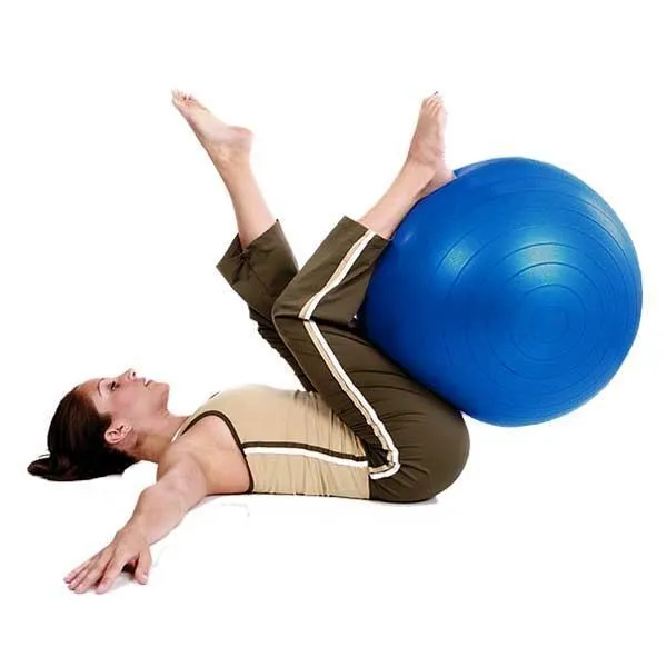 Wholesale Yoga Exercise Ball (55-65 cm)